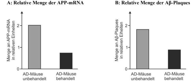 Zwei Balkendiagramme: unbehandelte AD‑Mäuse zeigen höhere APP‑mRNA und mehr Aβ‑Plaques als behandelte Mäuse.